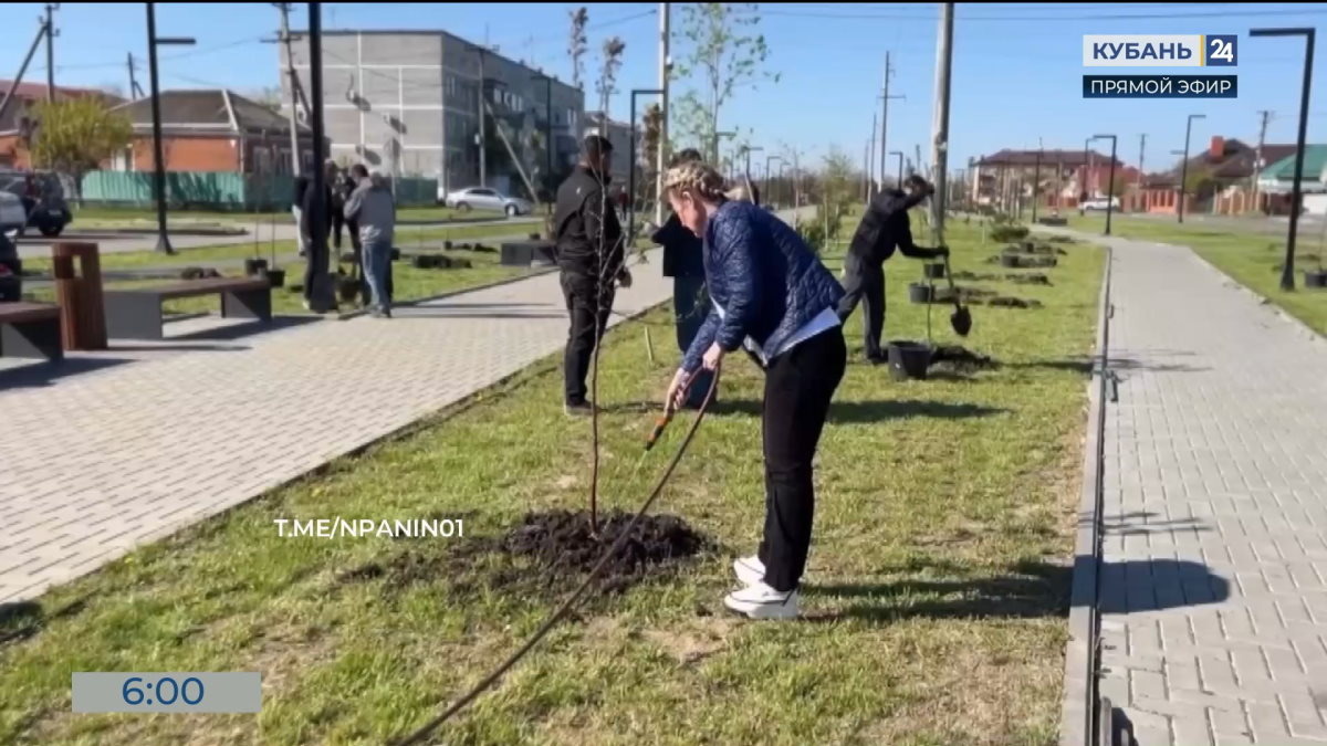    Видео канала «Кубань 24»