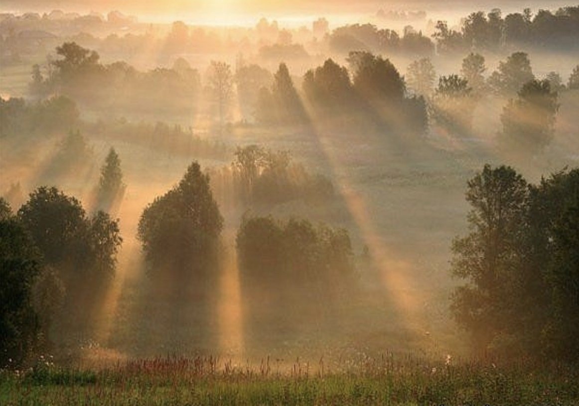 картинка из интернета