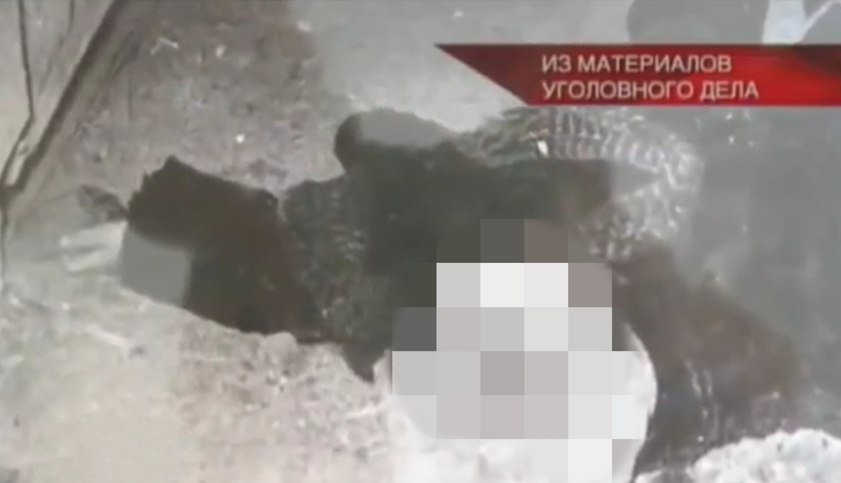 Ист: кадр из передачи "Следствие вели".