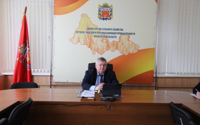    Сергей Балыкин представил Минпромторгу РФ опыт ярмарочной деятельности в Оренбуржье Алла Черкесатова