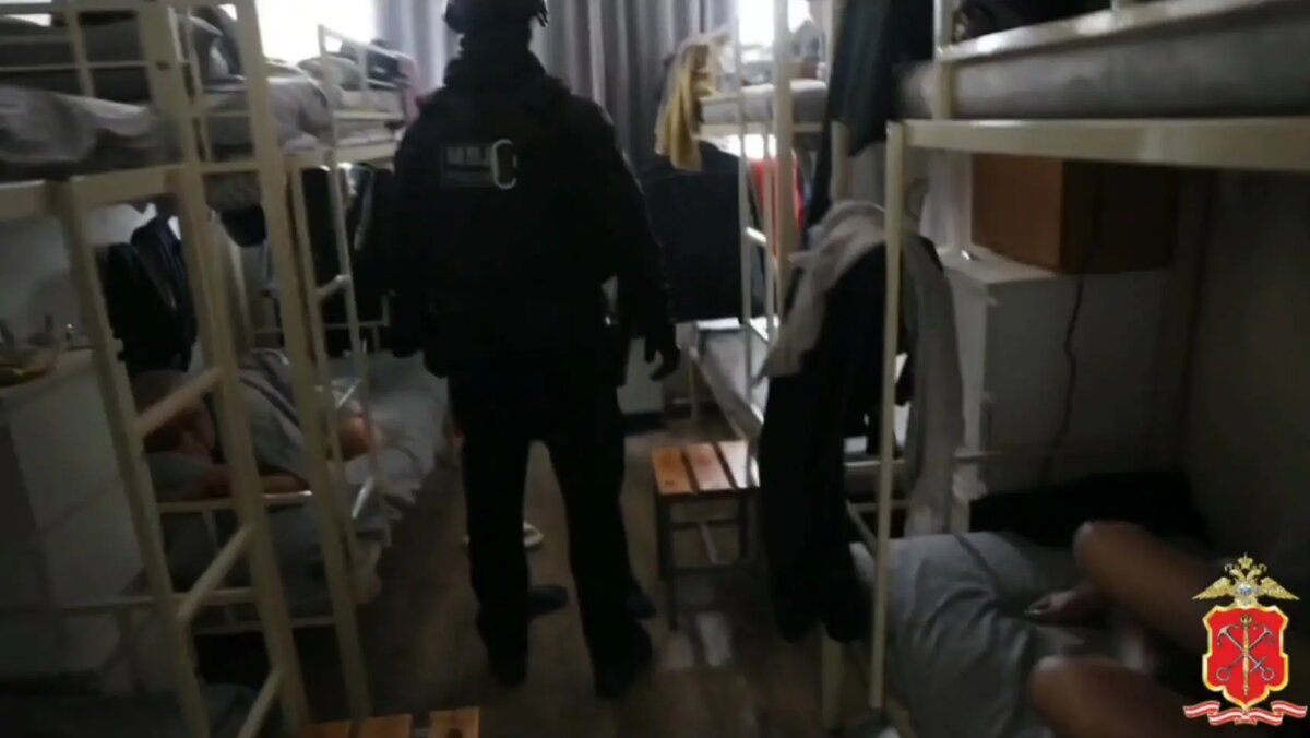    Фото: кадр видео ГУ МВД по Петербургу и Ленобласти