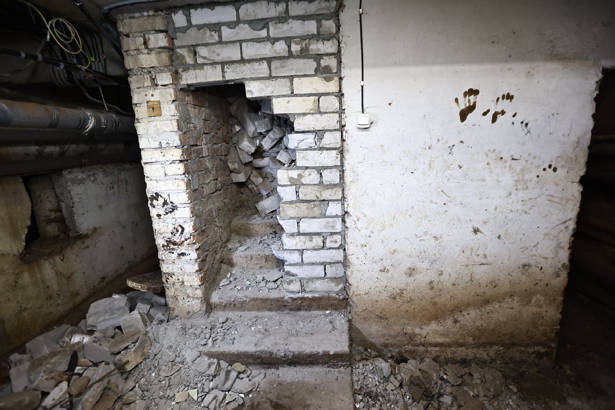 Автор фото: Павел Хацаюк / ИД «Вечерняя Казань»