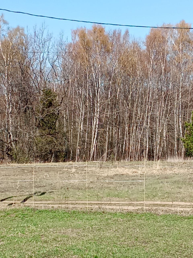 Личное фото