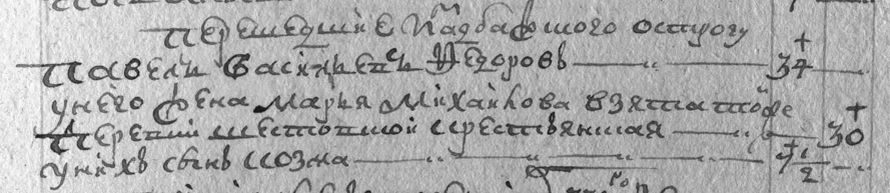 Семья Федоровых. Фрагмент Ревизской сказки о крестьянах и ясачных татарах Тобольского оруга за 1782 год. Тобольский архив Ф. 154, оп.8, д.4