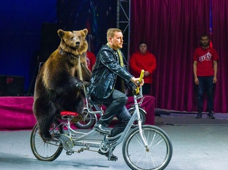     Пока главное здание цирка ремонтируют, челябинскому зрителю приходится довольствоваться представлениями передвижных цирков. Фото: Дмитрий Куткин («Вечерний Челябинск»)