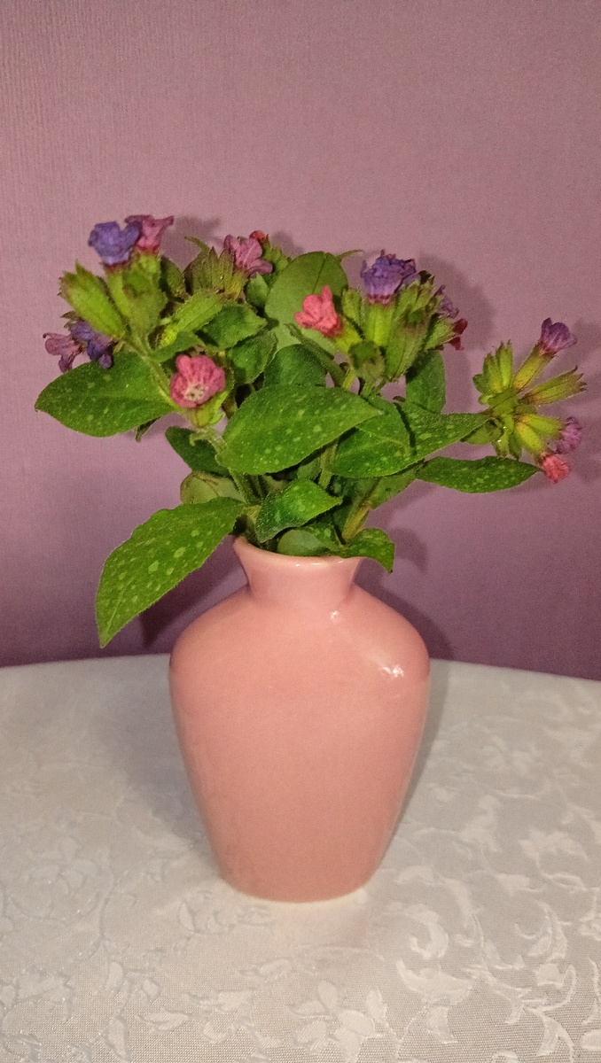 Букет к сегодняшнему чаепитию в мини вазочке. Фото автора