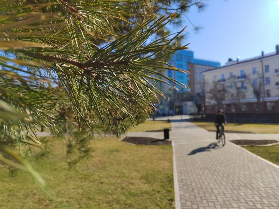 Фото: ИА "Тюменская линия"