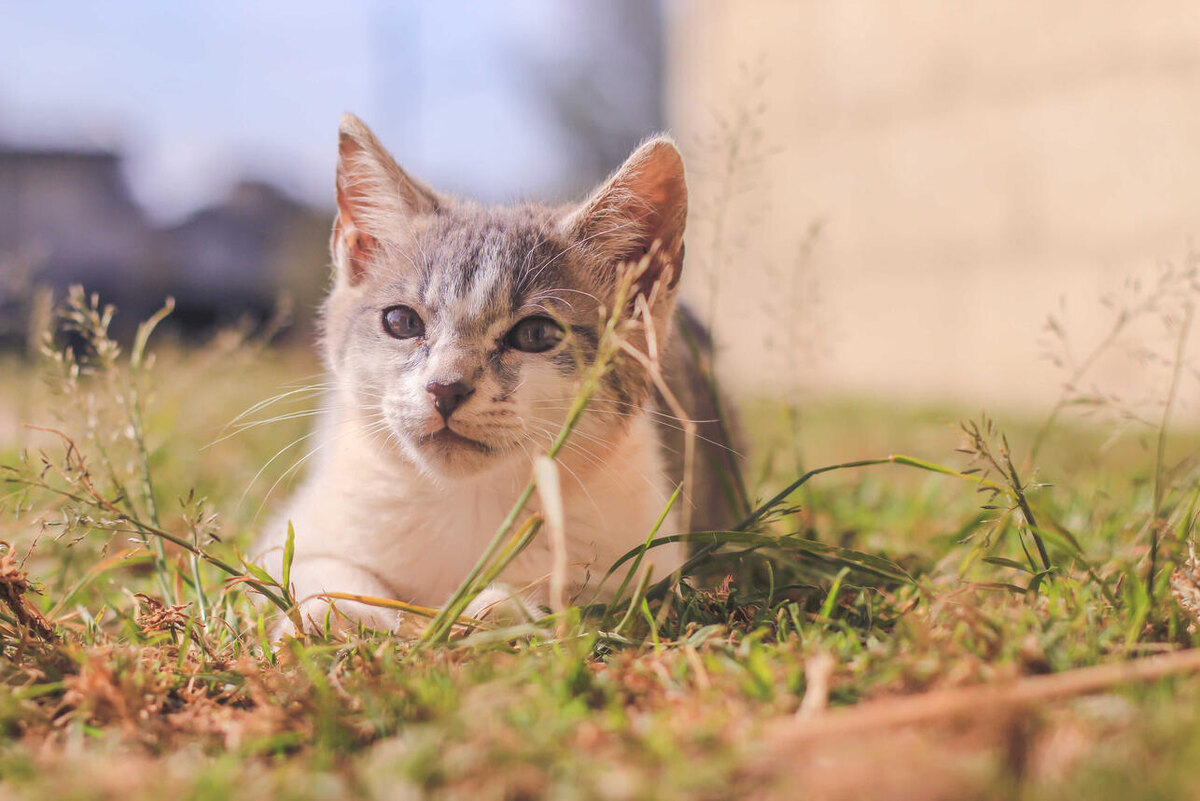     123RF/legion-media.ru