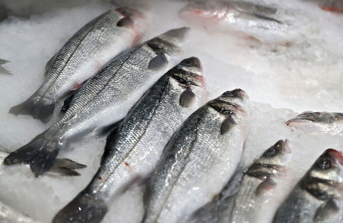     / Источник: © ИЗВЕСТИЯ/Андрей Эрштрем