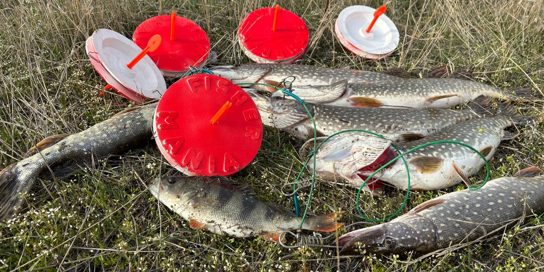 Собираем Кружки на Рыбалку! ВЫ РЫБАЧИТЕ НА КОЛОБАШКИ И КРУЖКИ?