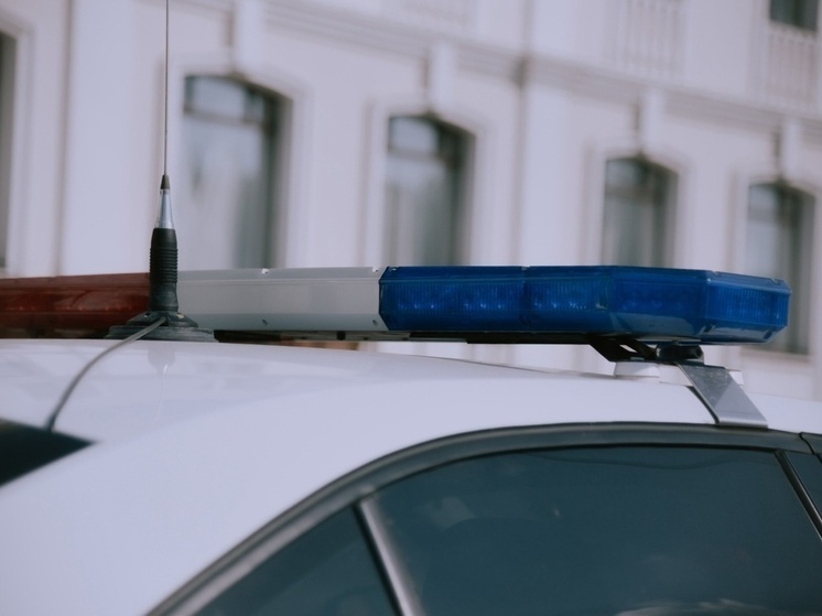     Фото: Антон Харин/КП-Томск