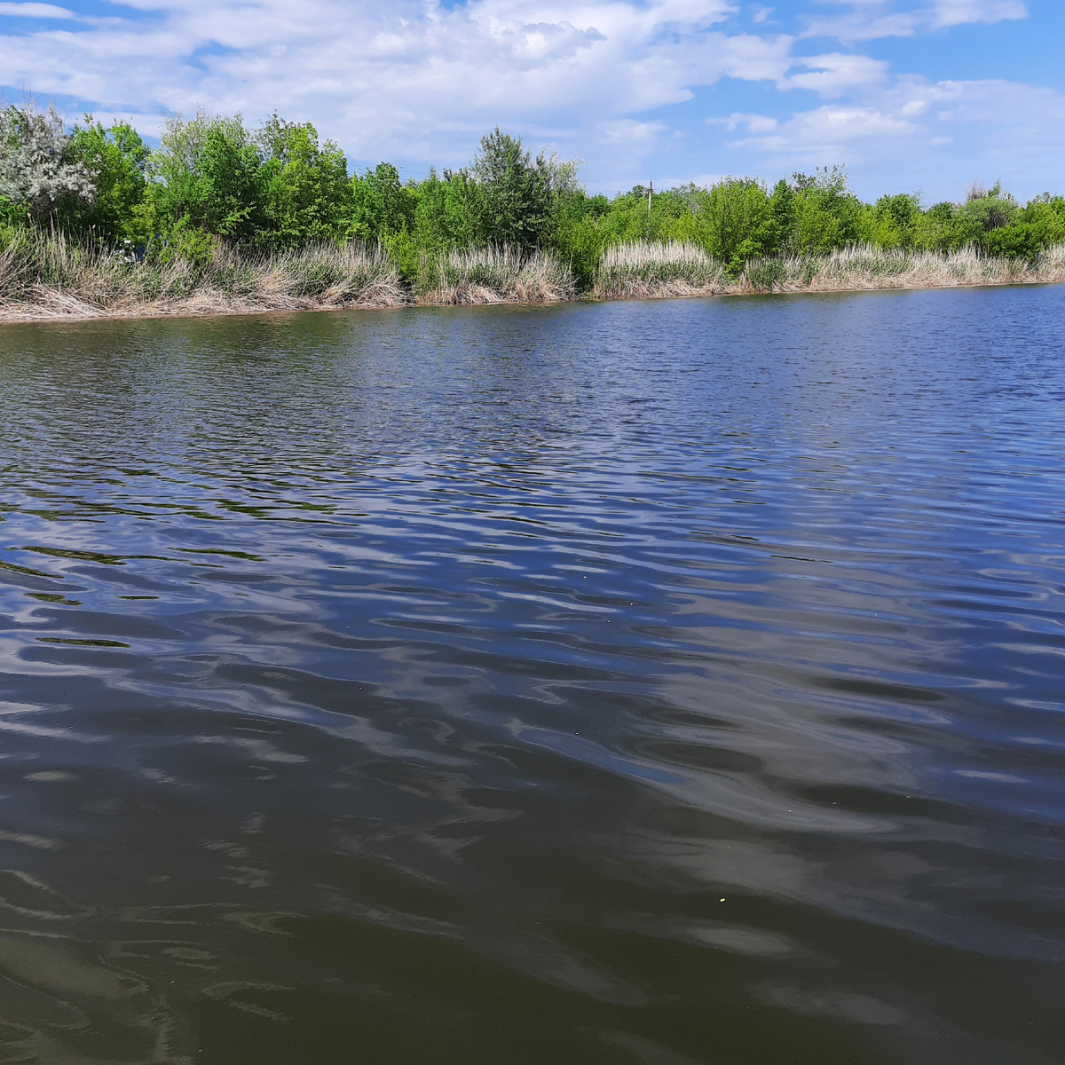 Вот такая она должна быть, а сейчас уровень на 80 см ниже..