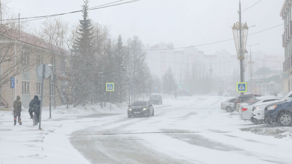    Фото: Андрей Ткачев/«Ямал-Медиа»