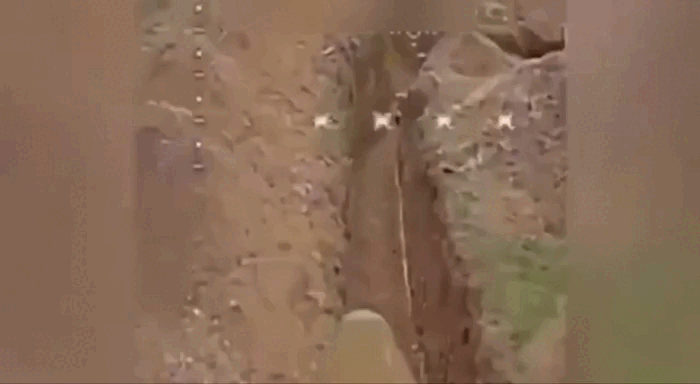    Видео: тг-канал "Батькович"