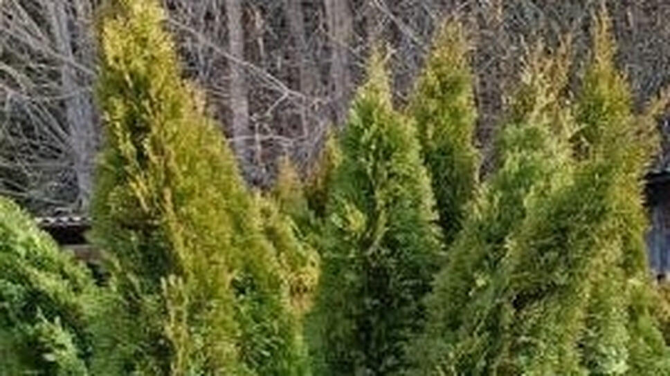 Фото: пресс-служба управления Россельхознадзора по Удмуртии