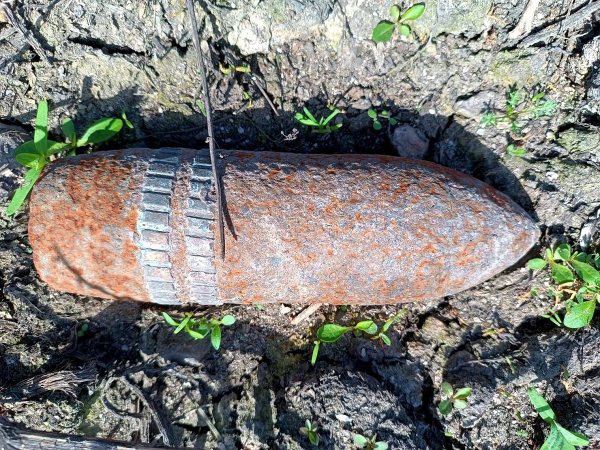 Фото: Аварийно-спасательная служба Курской области