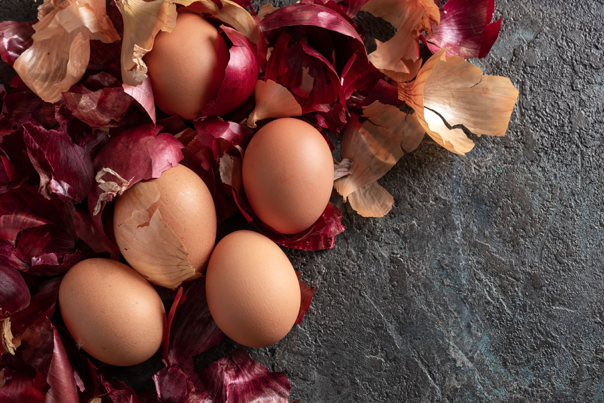 Источник фото: Canva