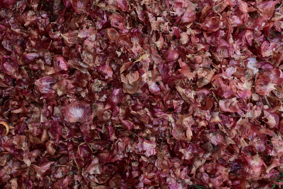 Источник фото: Canva