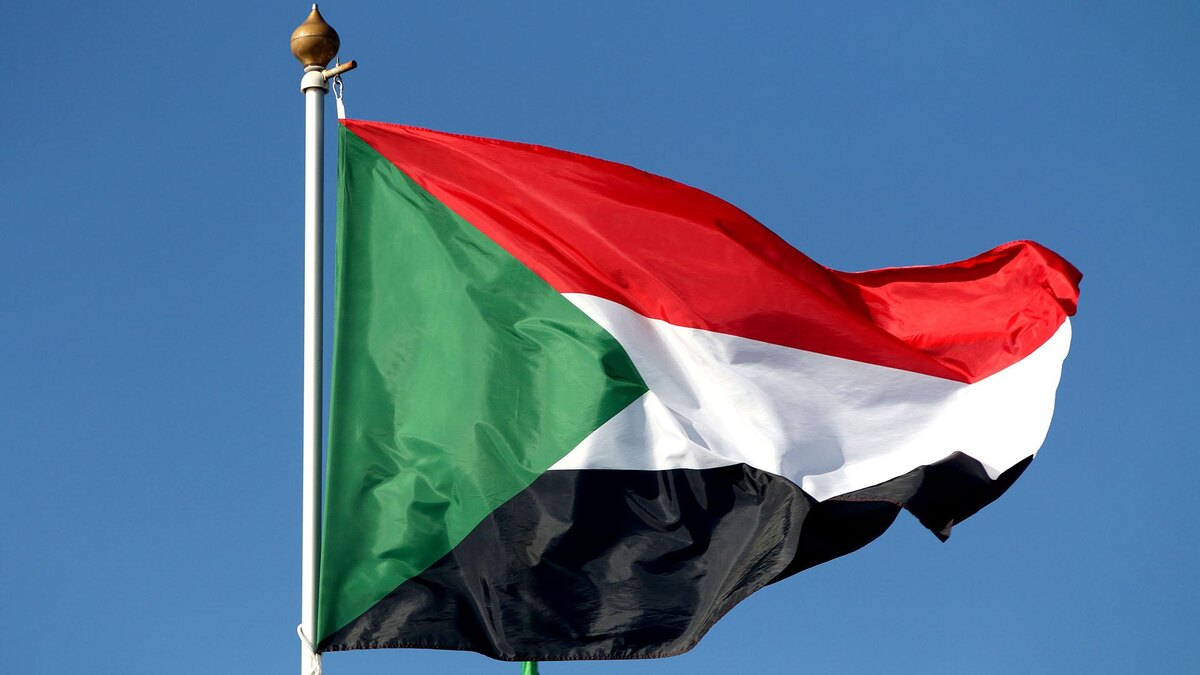    Фото: Maksim Konstantinov/globallookpress.com