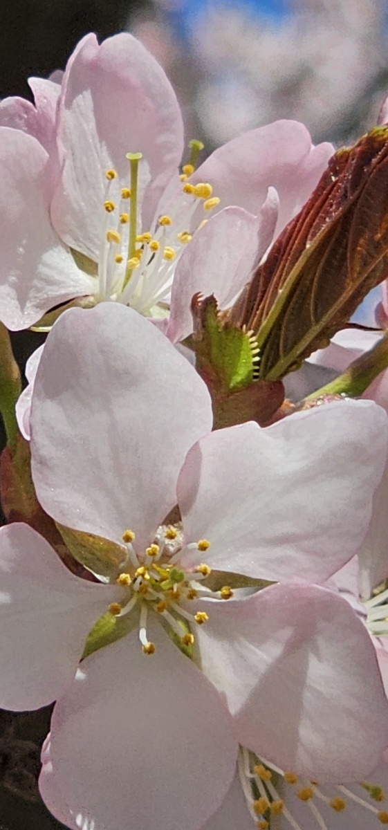 Фото Дмитрий Гусаков 