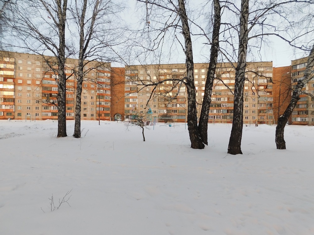    Фото редакции (носит иллюстративный характер)