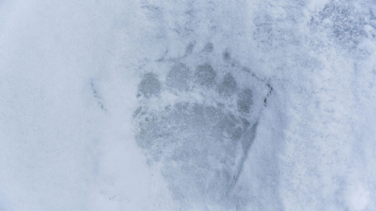    Фото: Scalia Media/Shutterstock/Fotodom