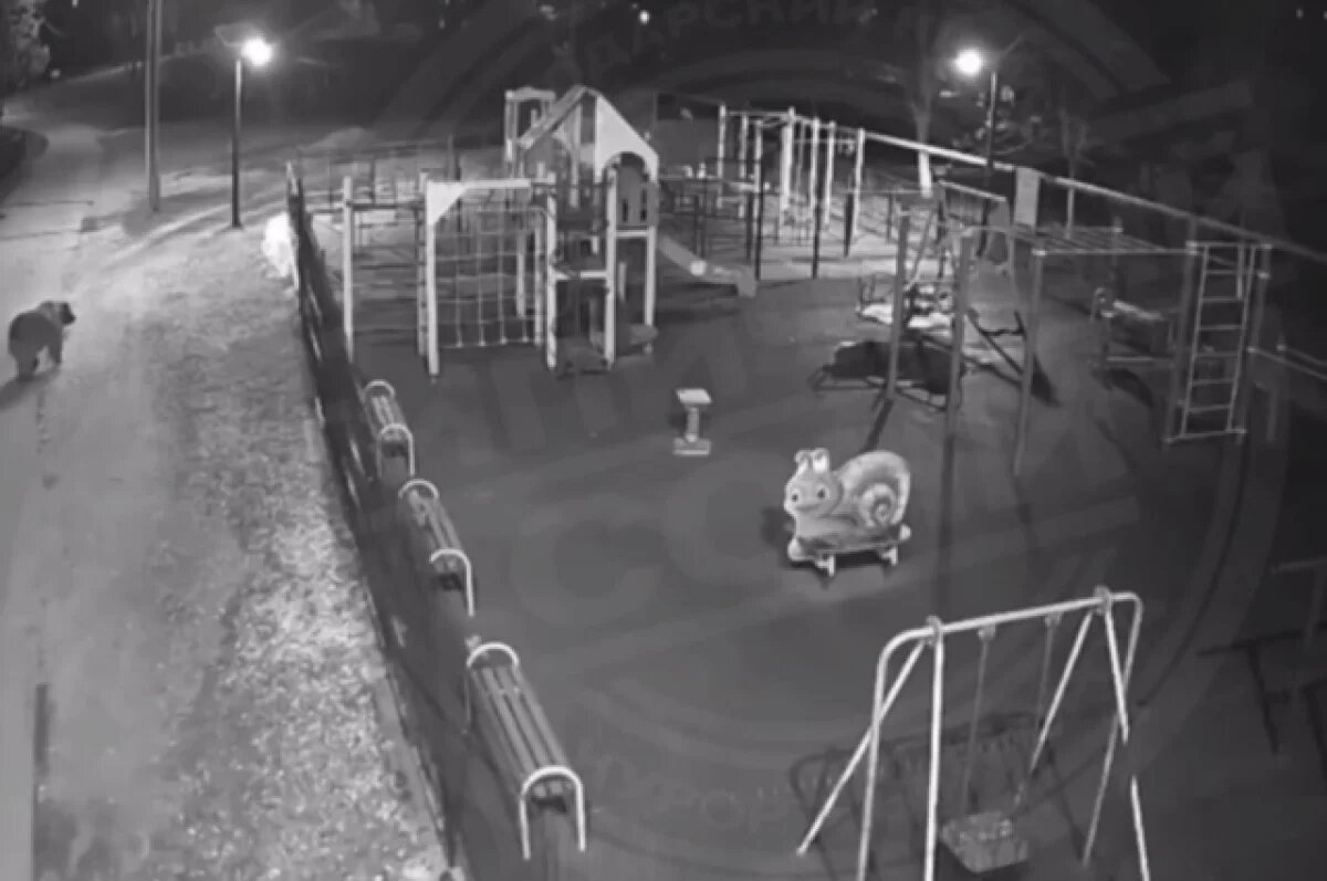    В Сочи попал на видео гуляющий возле детской площадки медведь