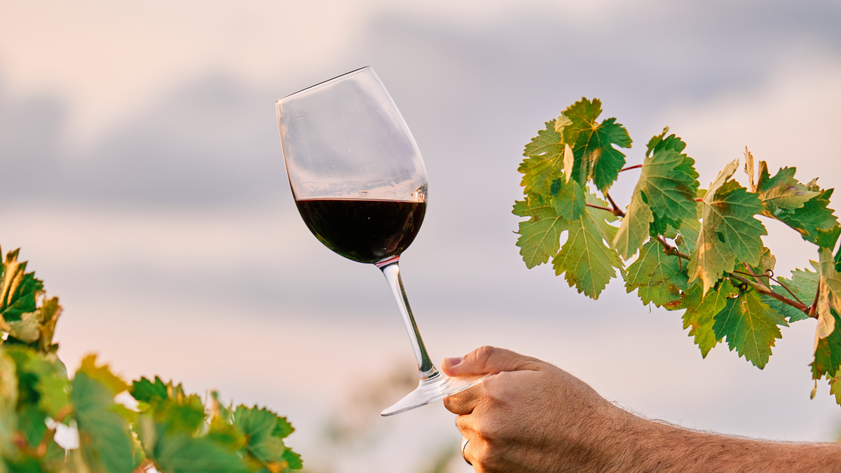 Вино с осадком