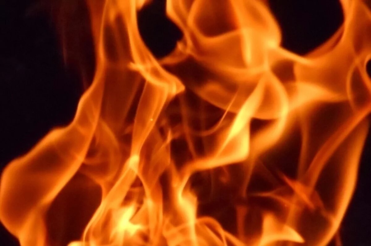    Мужчина попал в больницу с ожогами после пожара в воронежском селе