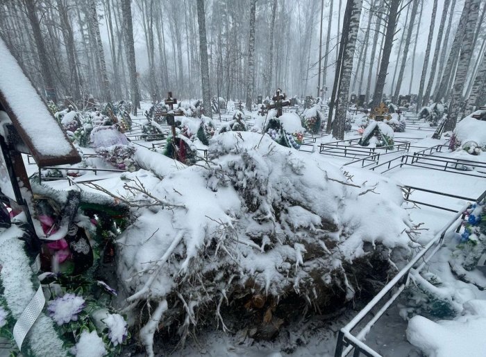 Фото СУ СК России по Новосибирской области.