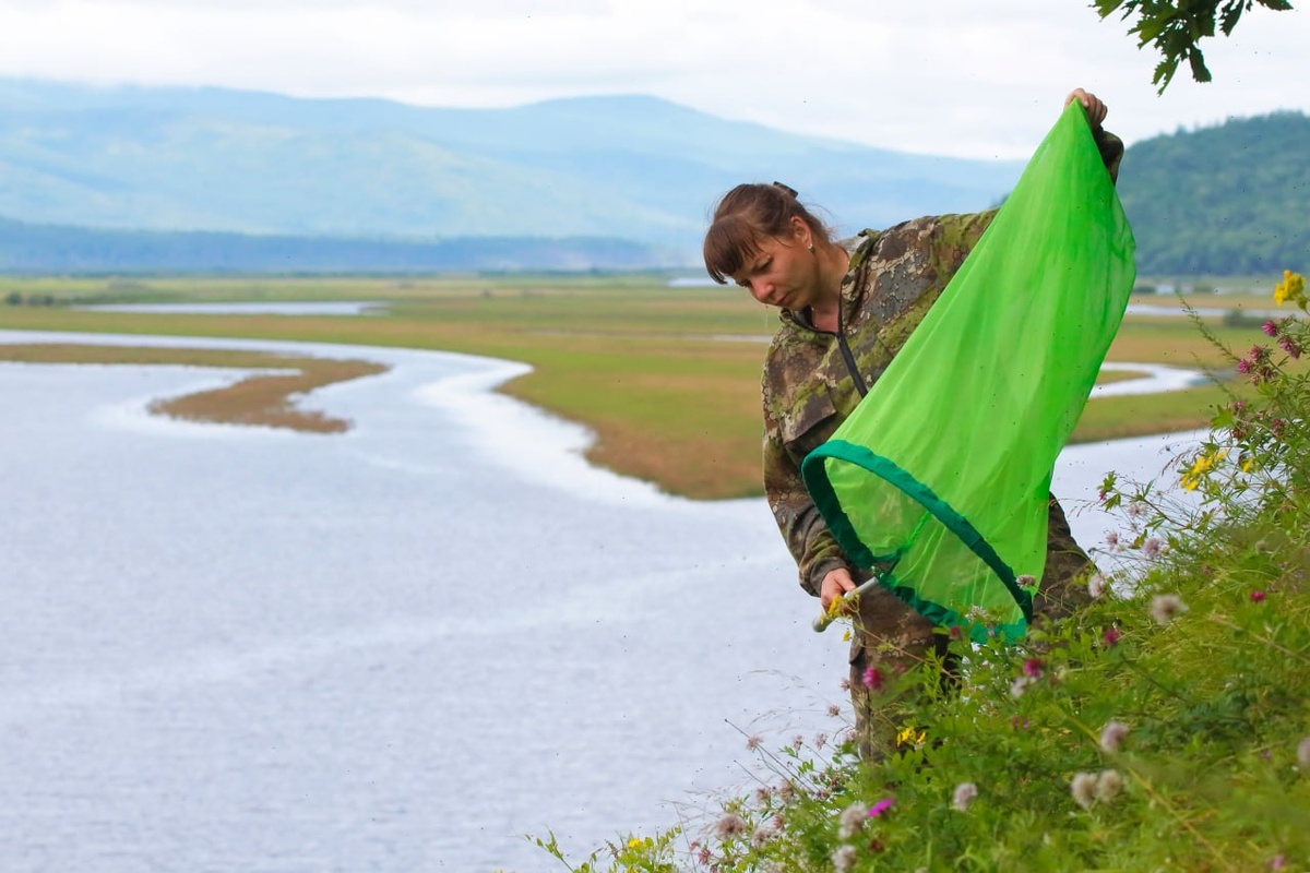 Комсомольский заповедник, автор фото: Денис Кочетков  