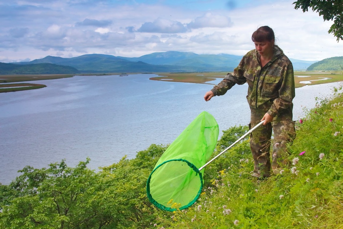 Комсомольский заповедник, автор фото: Денис Кочетков  