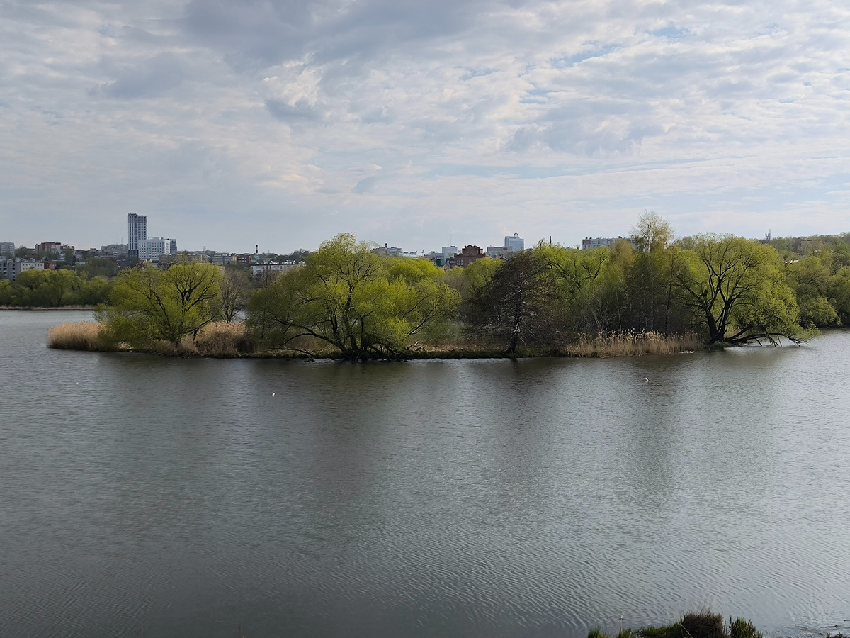 Фотографии в статье авторские