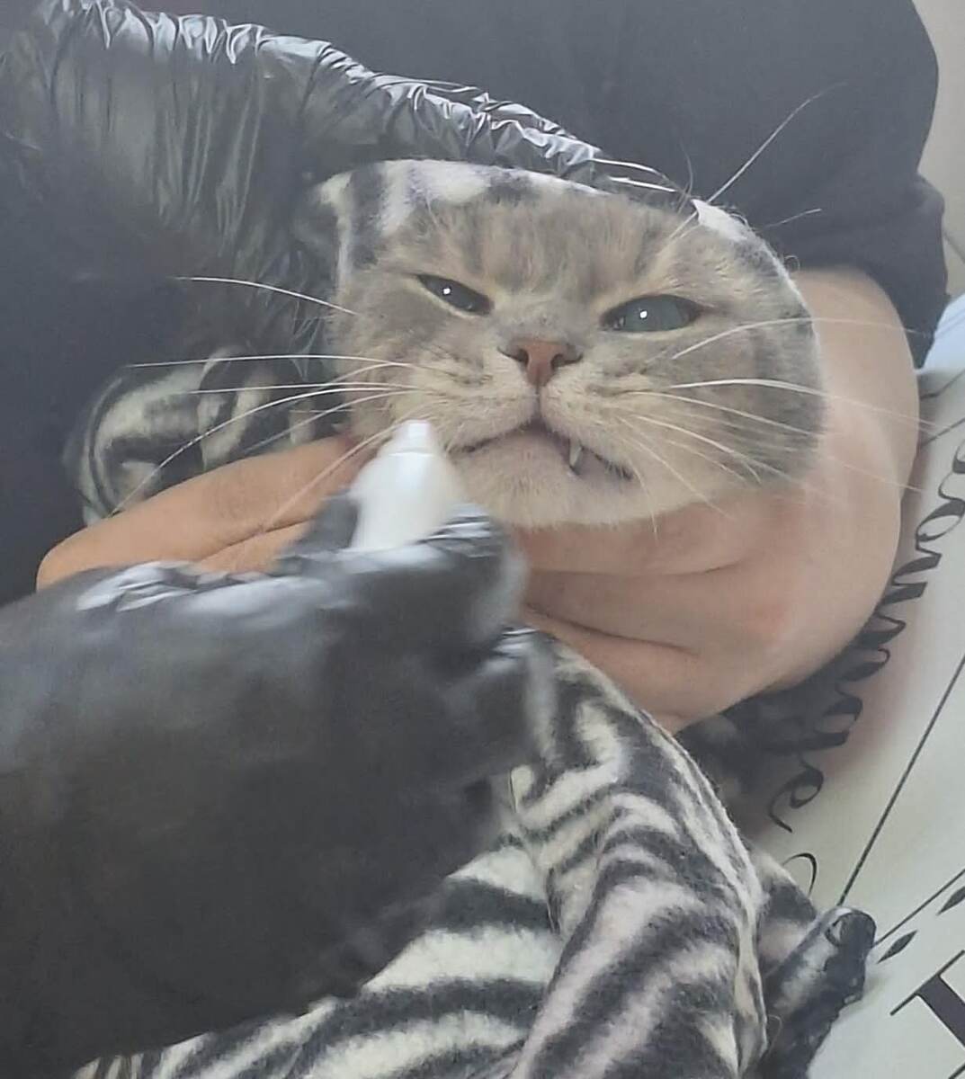 Семён. Он совсем не любит капли в нос