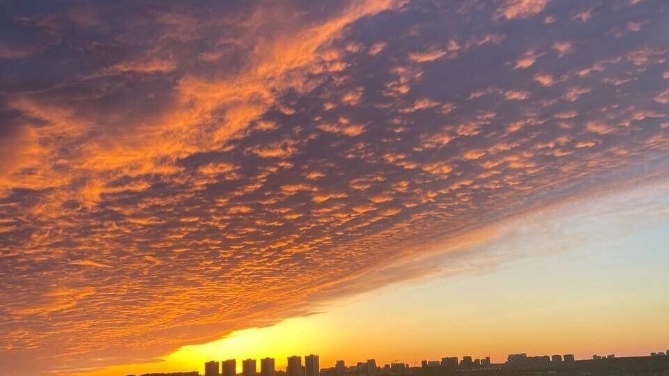     Источник: тг-канал Нашгород