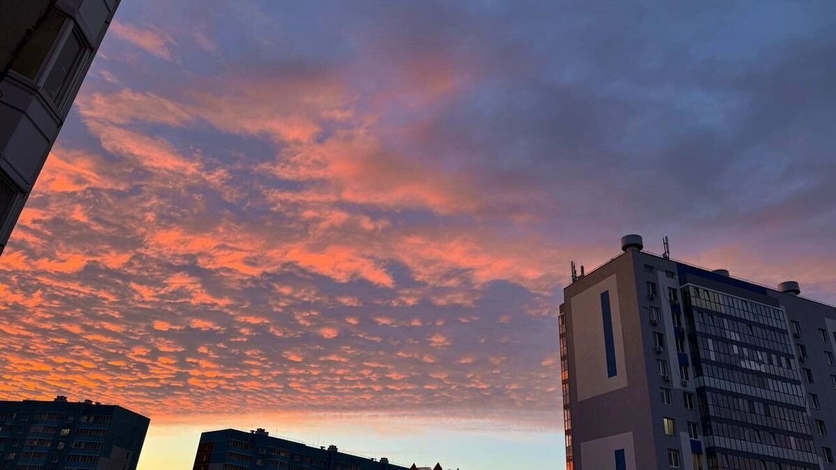     Источник: тг-канал Нашгород