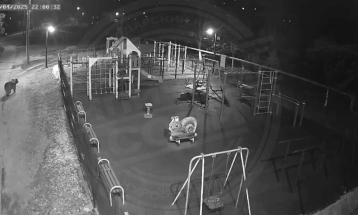    Скриншот видео t.me/sochitypical