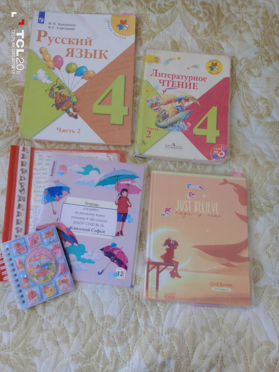 Учебники по русскому языку, литературному чтению, памятки в мультифорках (файлах), тетрадь по русскому языку с красивой обложкой (аниме), дневник и мини блокнот с водичкой и капибарой, который я использую в качестве черновика.