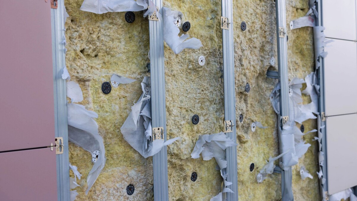    Фото: Юлия Чудинова/«Ямал-Медиа»