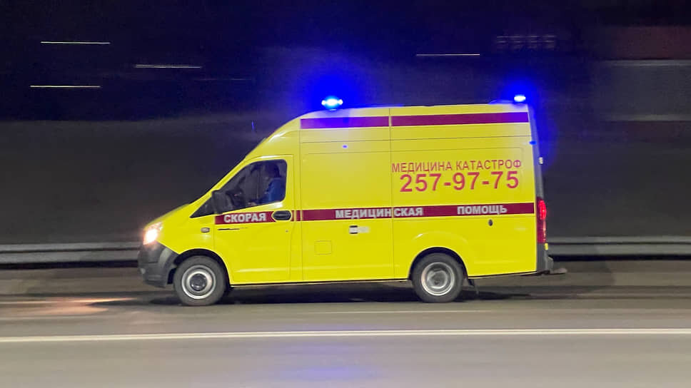 В Татарстане мотоциклист сбил лося на трассе М-12 и погиб.📷Фото: Игорь Елисеев / Коммерсантъ