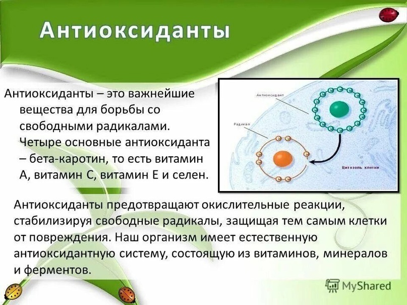 Создать карусельДобавьте описание