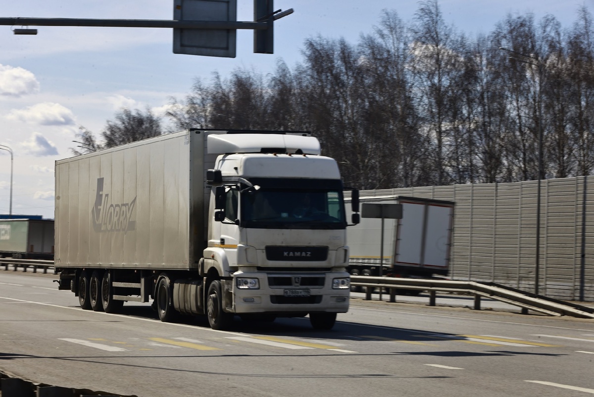 Автор фото: Павел Хацаюк / ИД «Вечерняя Казань»