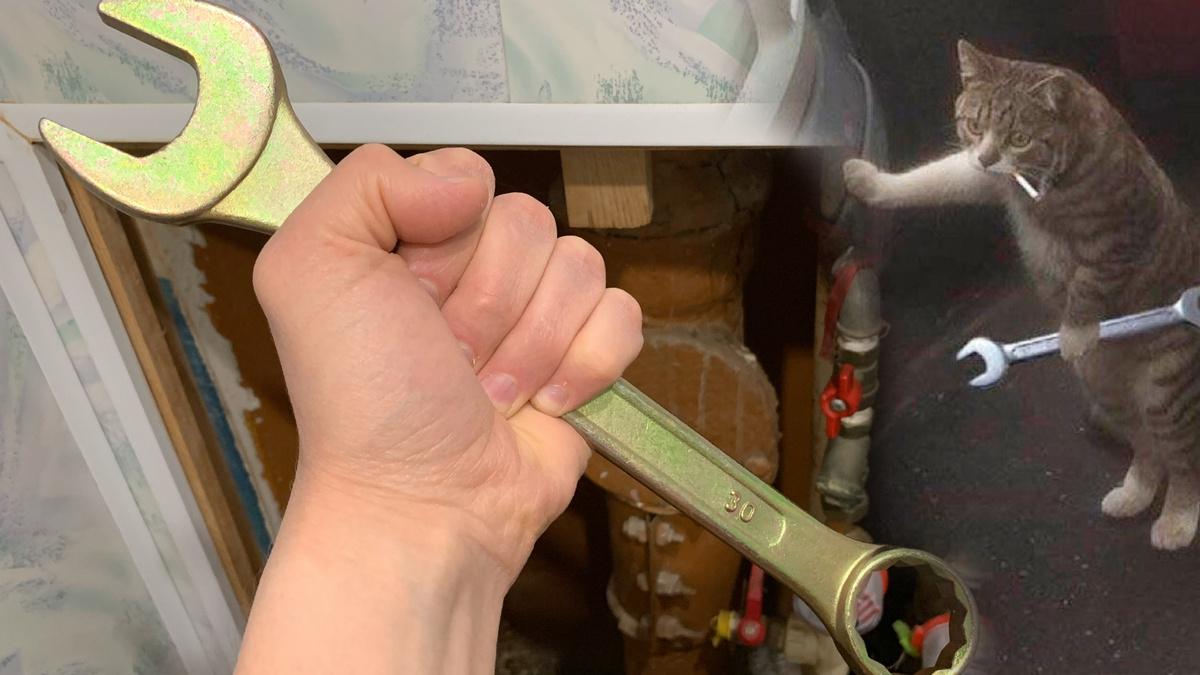 Фото с просторов интернета