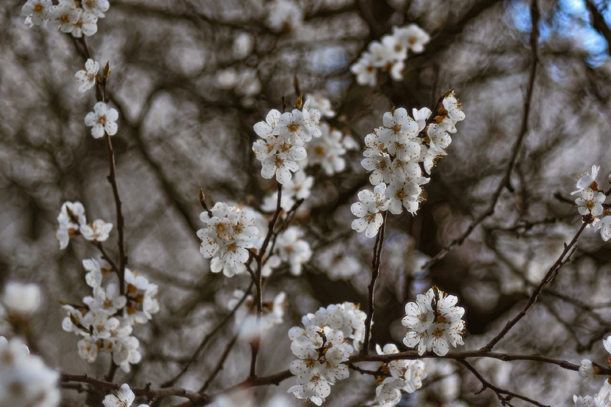 Фото: Анастасия Ильина