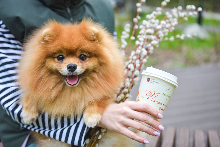    Фото: пресс-служба Департамента торговли и услуг города Москвы