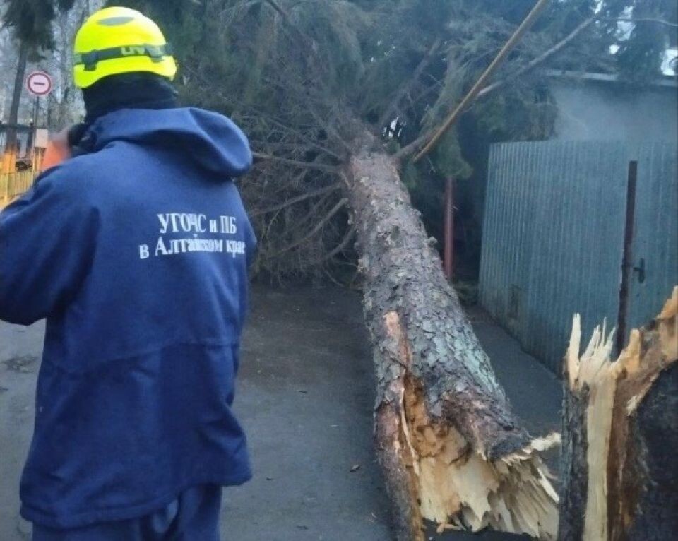    Устранение последствий непогоды в Барнауле. Источник: Barnaul.org