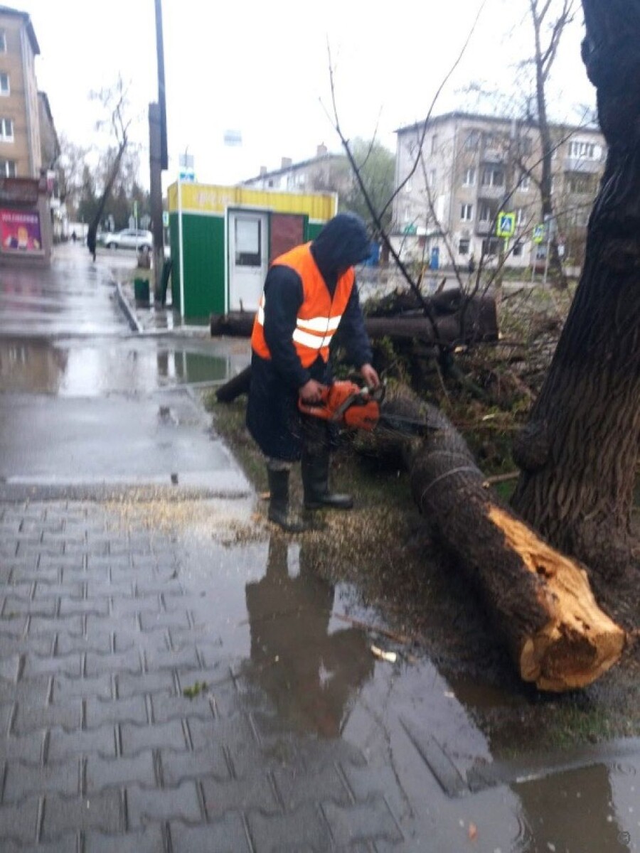    Устранение последствий непогоды в Барнауле. Источник: Barnaul.org