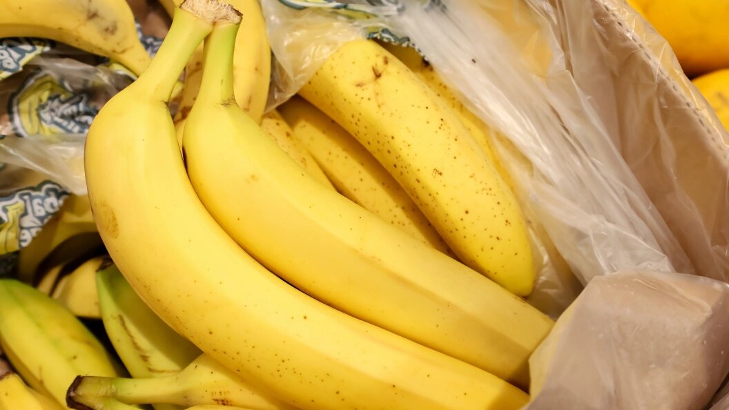    Фото: © Elena Mayorova/Globallookpress