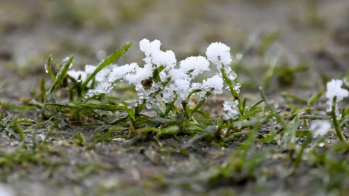    Фото: Max Maiwald/Defodi Images/globallookpress.com