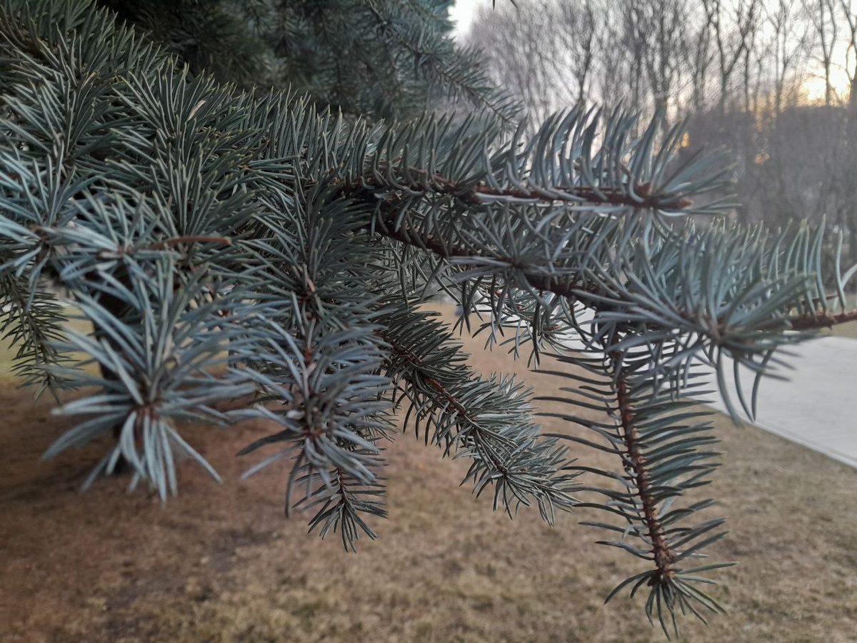 Фото носит иллюстративный характер